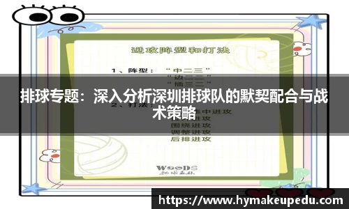 排球专题：深入分析深圳排球队的默契配合与战术策略